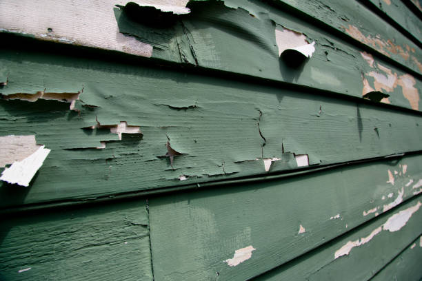 Best Custom Siding Design  in Adamsville, AL
