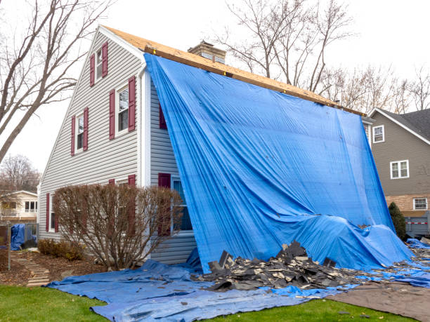 Best Stucco Siding  in Adamsville, AL