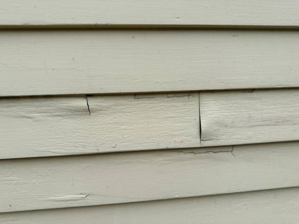 Best Residential Vinyl Siding Installation  in Adamsville, AL